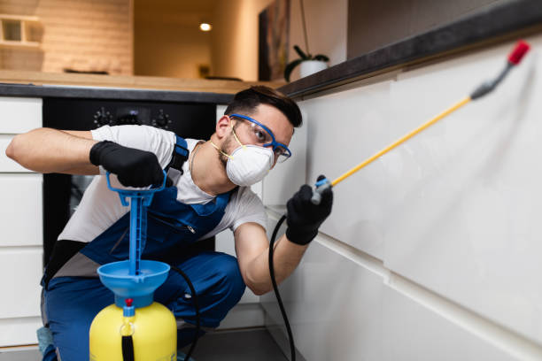 Best Best Pest Control Companies  in North Liberty, IA