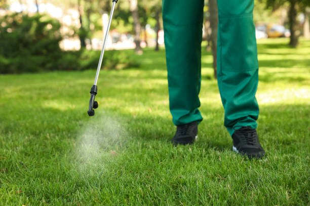 Best Affordable Pest Control Services  in North Liberty, IA