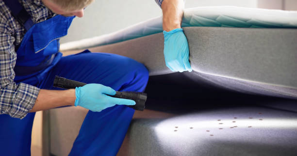 Best Pest Inspection Near Me  in North Liberty, IA